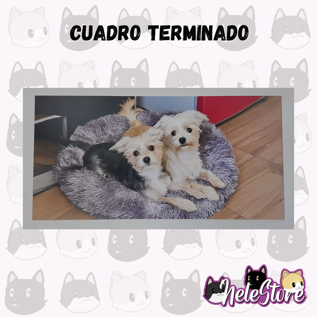 Promoción 2 Cuadro 80x40 cm