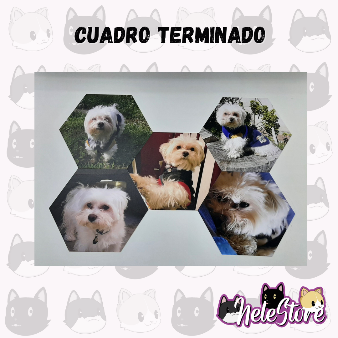 Promoción 5 Cuadros Hexagonales