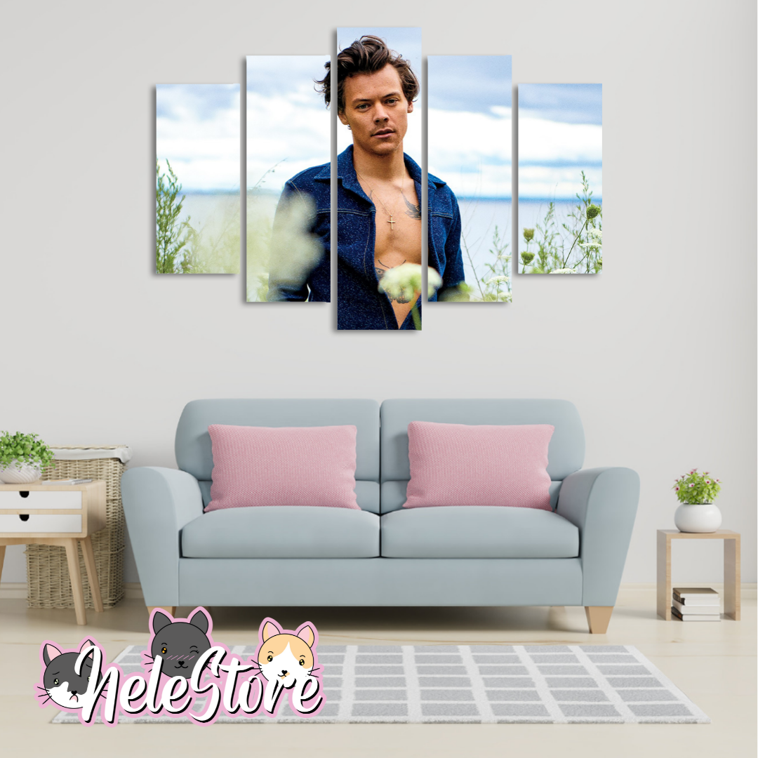 Harry Styles (2) - Segmentado 5 piezas 110x80 cm