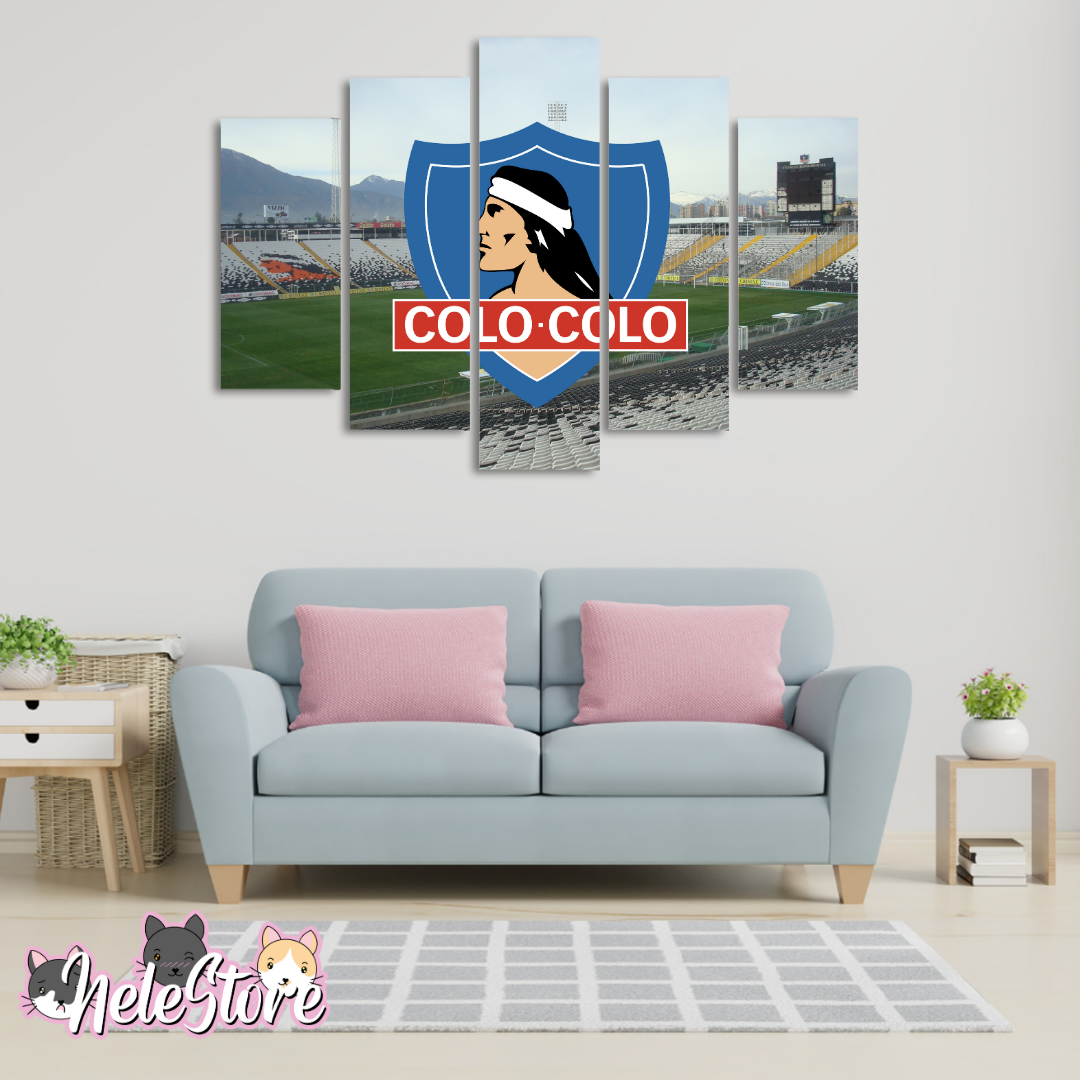 Colo Colo (2) - Segmentado 5 piezas 110x80 cm